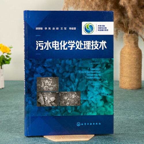 污水电化学处理技术 胡筱敏 李亮 污水处理技术书籍 水污染治理 水